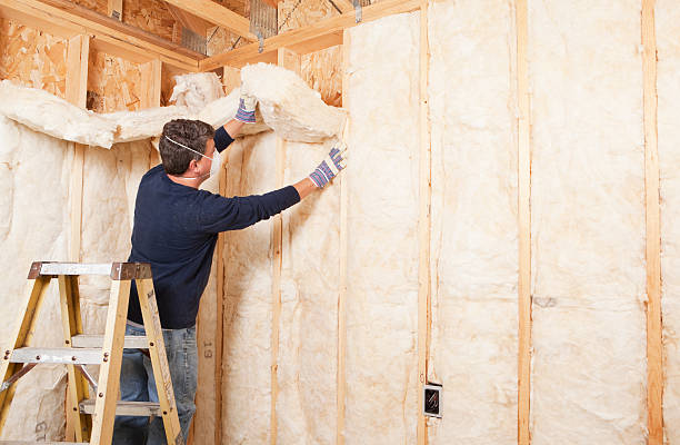 Best Insulation for New Construction in Spanish Springs, NV